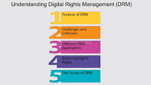 Understanding DRM and Its Importance